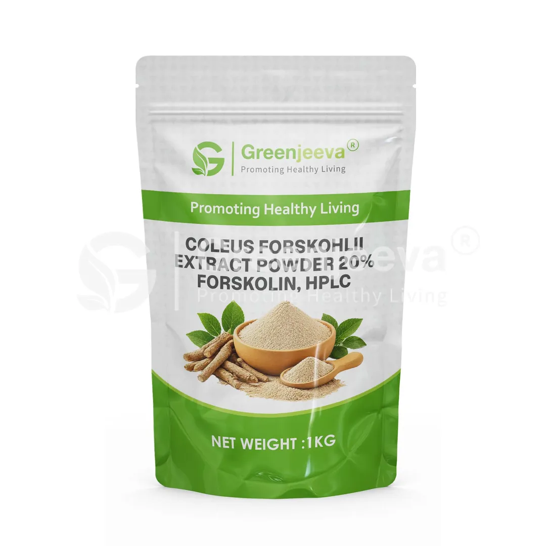 Coleus Forskohlii Extract Powder 20  Forskolin, HPLC Pouch
